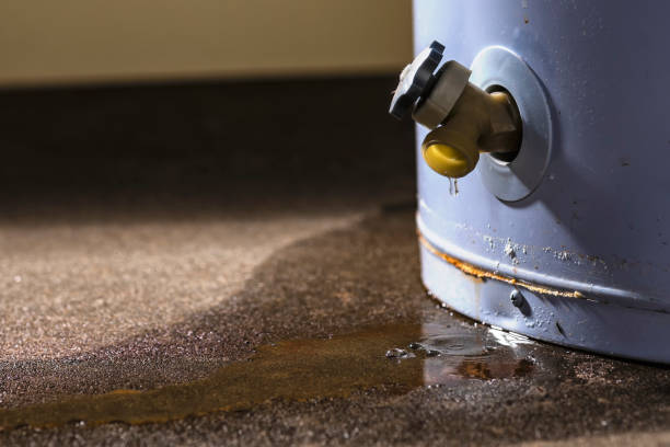 Best Flood damage cleanup  in Big Lake, TX