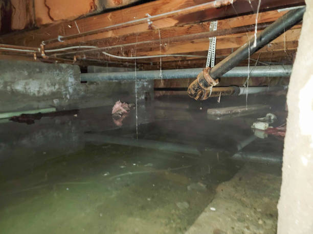  Big Lake, TX Water damage restoration Pros