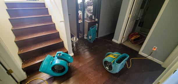 Best Ceiling water damage repair  in Big Lake, TX