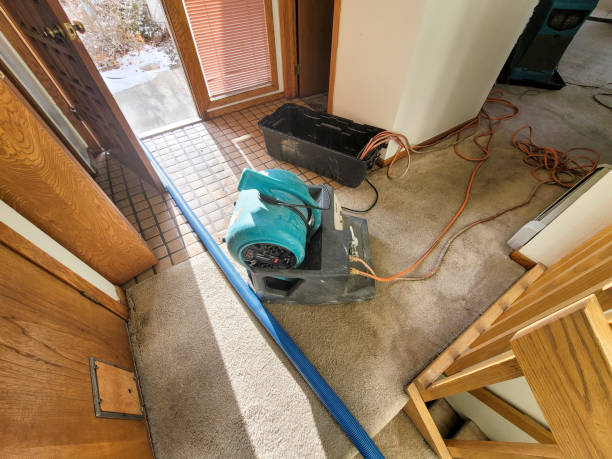 Best Local water damage restoration  in Big Lake, TX