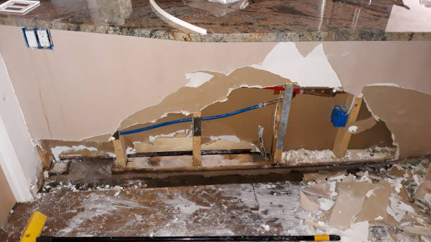 Best Professional water damage repair  in Big Lake, TX