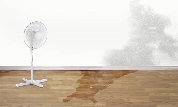 Best 24-hour water damage restoration  in Big Lake, TX