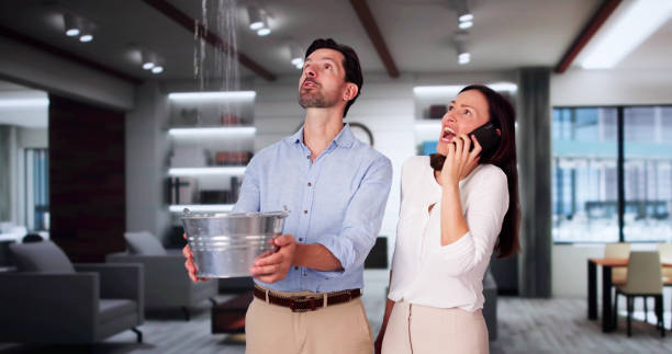 Best Ceiling water damage repair  in Big Lake, TX